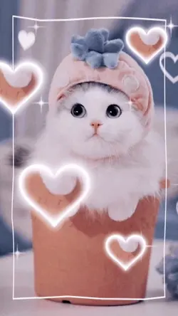 Album Miaw Miaw Miaw