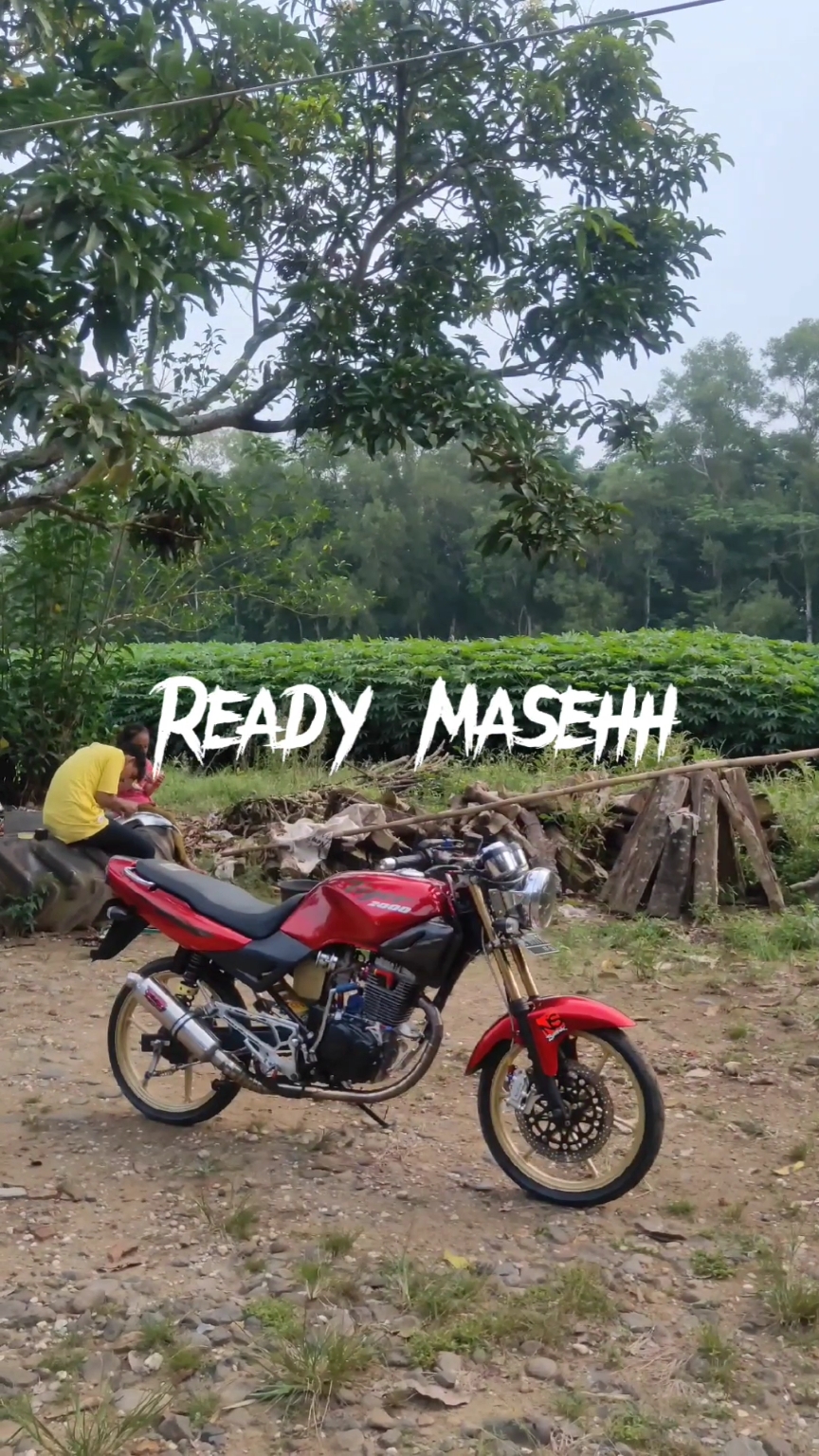 Massagista pronto