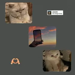 aesthetic frame