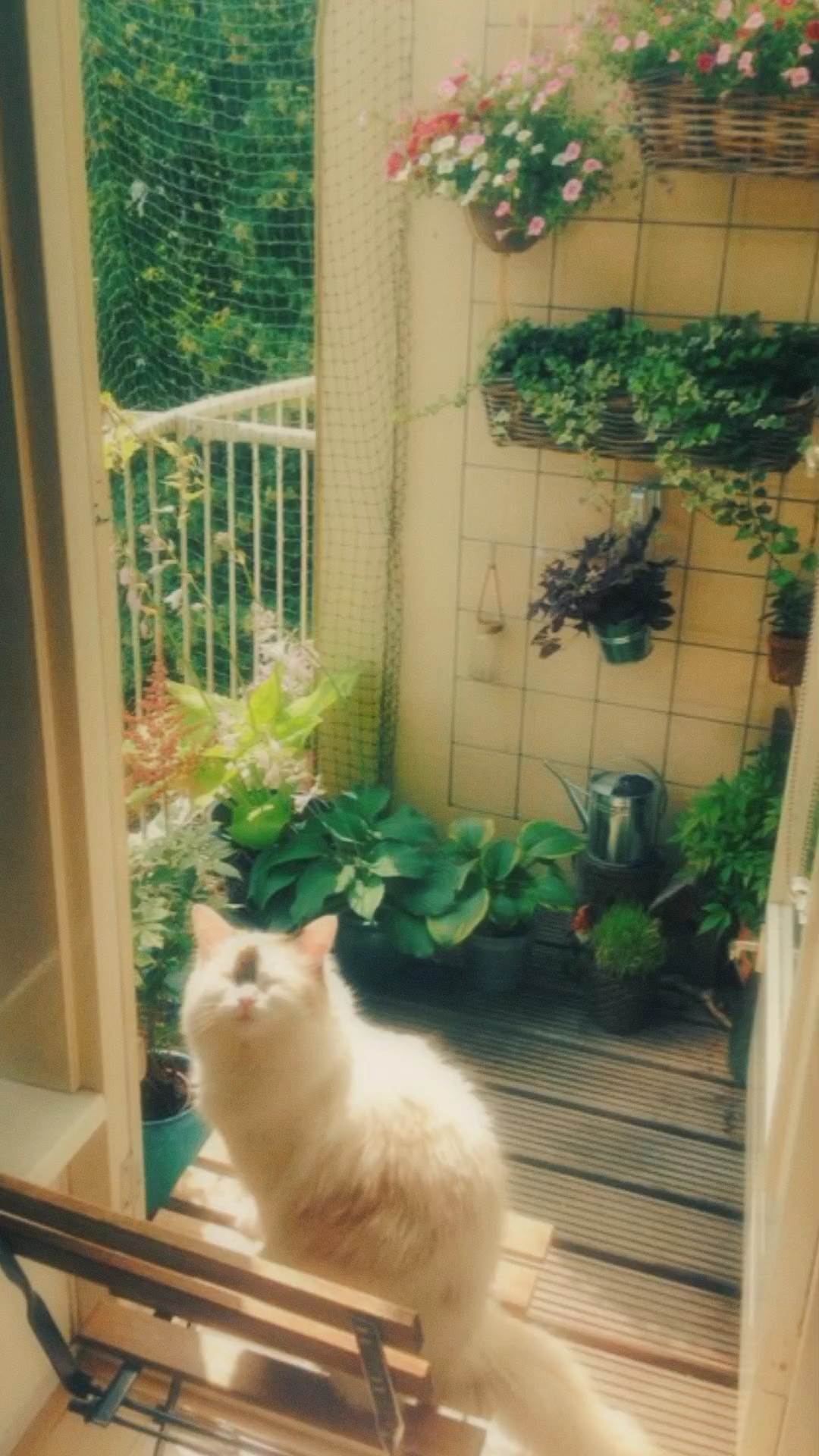 filter na pangarap