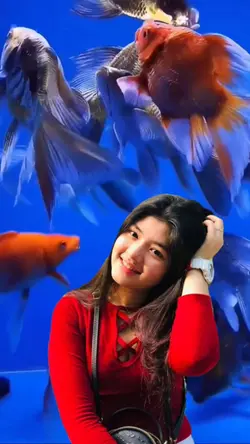Koki
