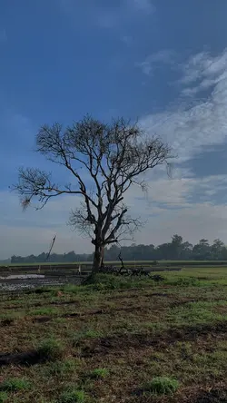 Versi 9:16