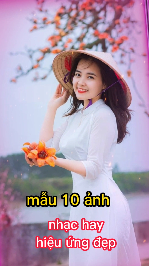 10 ảnh nhạc bolero
