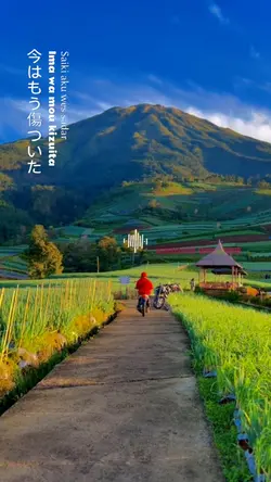 RUNGKAD VERSI JEPANG