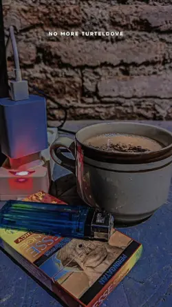 No More Turteldove
