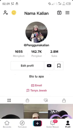 Prank seleb tiktok