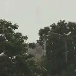 a short video 