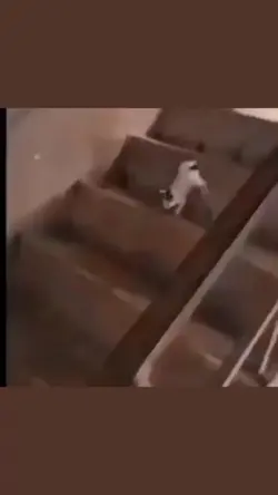Trobos Aja