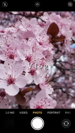 洋楽Vlog🌸