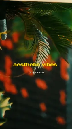 aesthetic vibes 