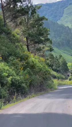 mentahan.video