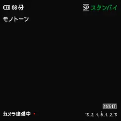 소름돋는 간지 템플릿😟