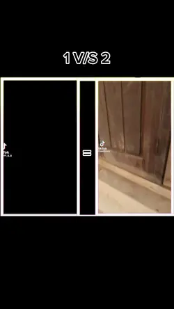 ไส่วีดีโอ2ครีบ