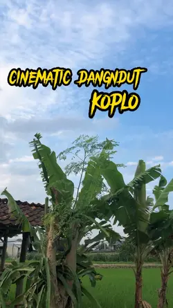 dangndut koplo