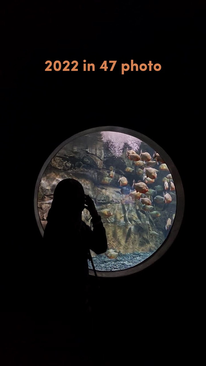 foto 2022 in 47
