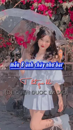 mẫu beat 8 ảnh 