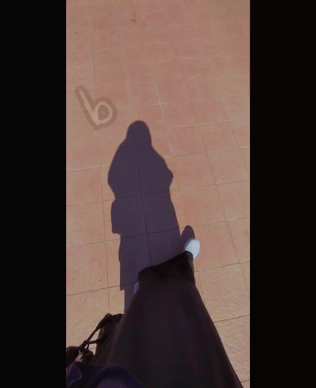 흑인 애호가 •