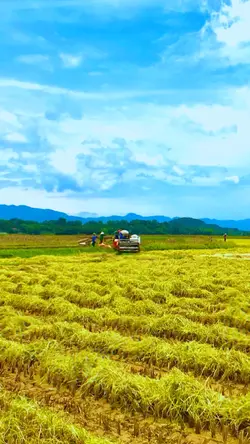Nhạc hay
