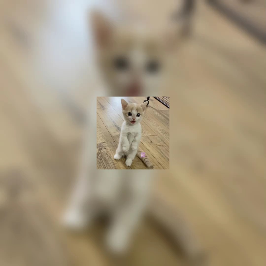 8 foto