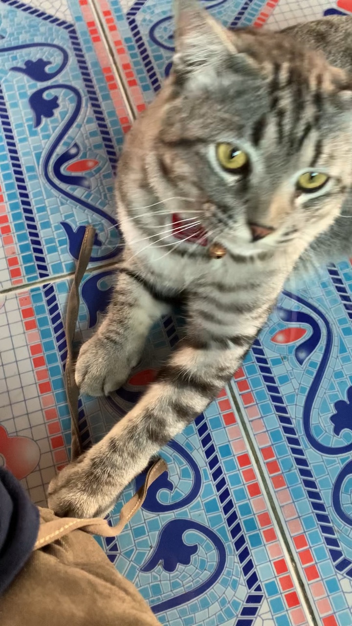 ที่สุดในโลก