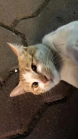 หนังสือนิยายเล่มโปรด