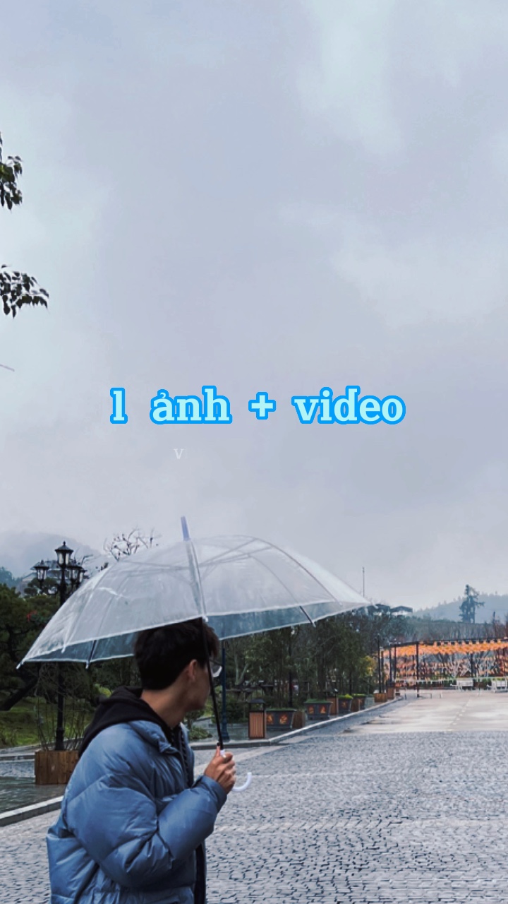 1 ảnh + 1 video ☘️