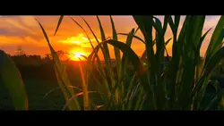chill hoàng hôn