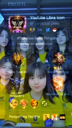 PROFIL ML BA ONIC