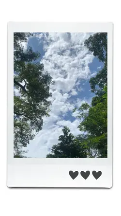 Mini vlog template 🎥