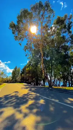 Tartil Merdu Alquran