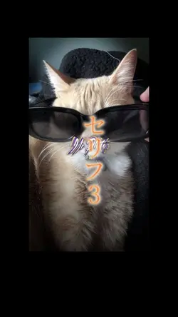 推しの人紹介！