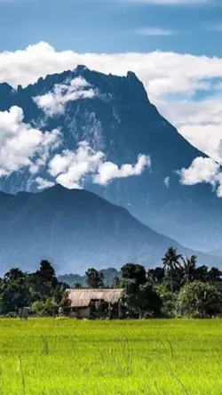 Sayang Kinabalu