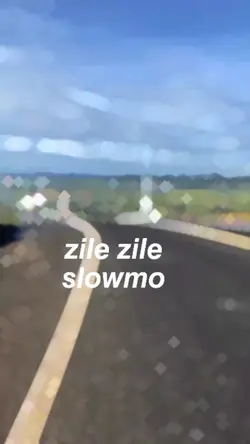 slowmo zile zile