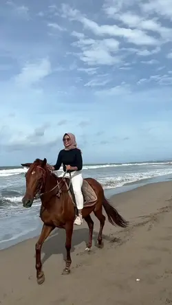 main kuda di pantai