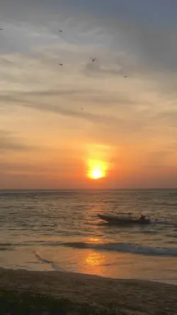 cinematic liburan