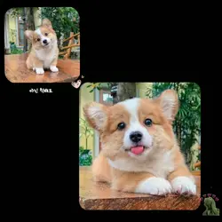 Cuteeee ><