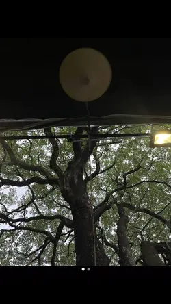 2 ảnh chuyển tiktok