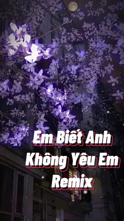 我知道你不爱我dj