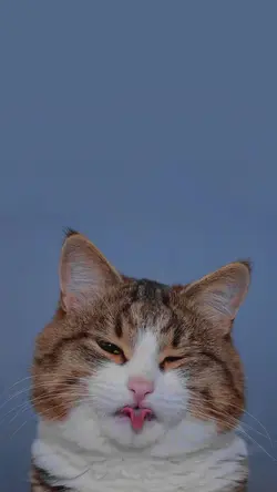 lirik estetik