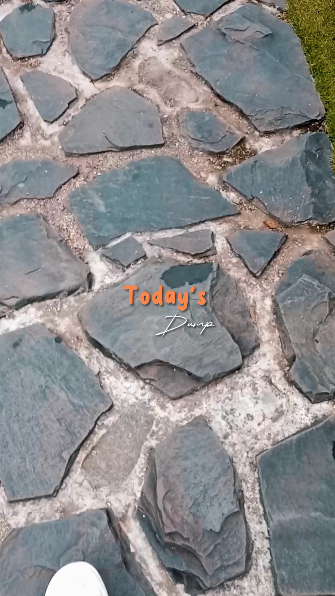 今天的垃圾场