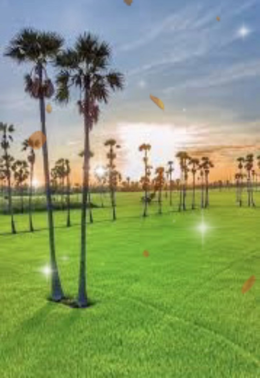 អូនព្រាត់ពីបងព្រាត់ទាំងស្រលាញ់