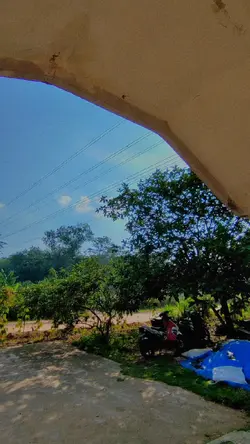 tugas pkl sekolah