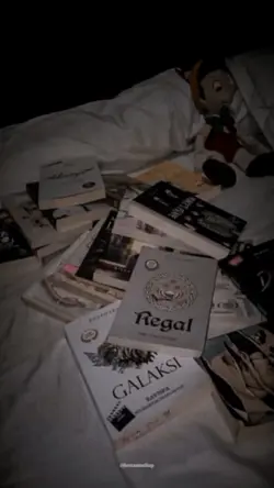 DUNIA NOVEL