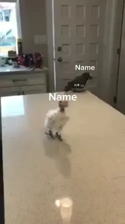 Name에 친구이름을 넣어보세요.ᐟ