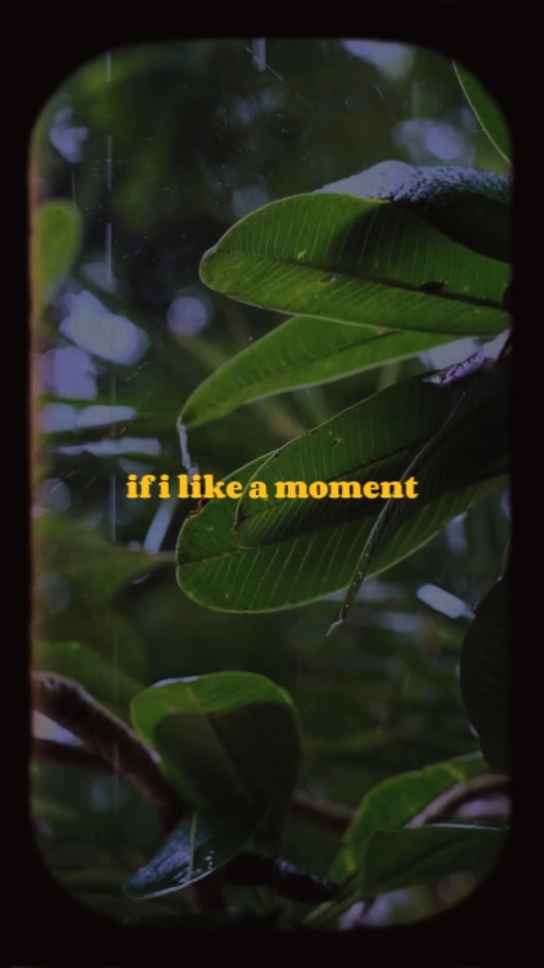 Wenn ich einen Moment mag