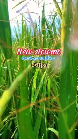 Super slowmo 