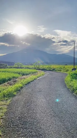 Aesthetic Slowmo
