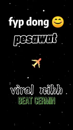 viral pesawat