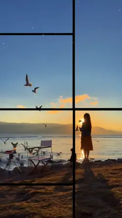 Chạy video 