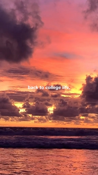 De vuelta a la vida de collage